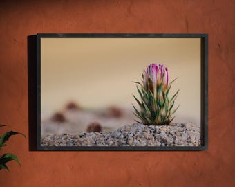 Botanischer Assemblage-Druck, surreales Stillleben – „Wohlwollen unterwegs“, Kollektion „Organische Resonanzen“