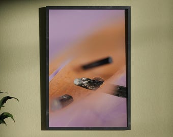 Surrealistische Stilllebenfotografie, Mineralwandkunst – „Durch den Schleier an einem rosafarbenen Tag“