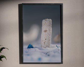 Korallen-Assemblage-Druck, surreale Stillleben-Kunst – „Blasses Ungleichgewicht“