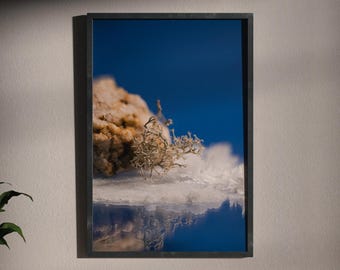 Surrealer botanischer Stillleben-Druck, Makro-Steinskulptur-Kunst