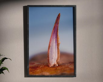 Surrealer Stillleben-Druck, Wandbild für Kuriositätenkabinette – „Schillernder Wüstenhecht“