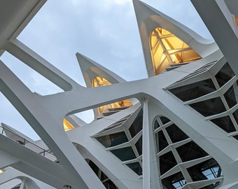 Color Photo of Valencia Science Museum in the Arts and Sciences Complex, Spain Travel Photograph Famous Building by Architect Calatrava