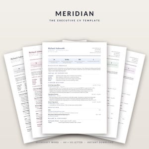 Executive CV Template Word, Senior Manager Resume, Director ATS Friendly (Download)