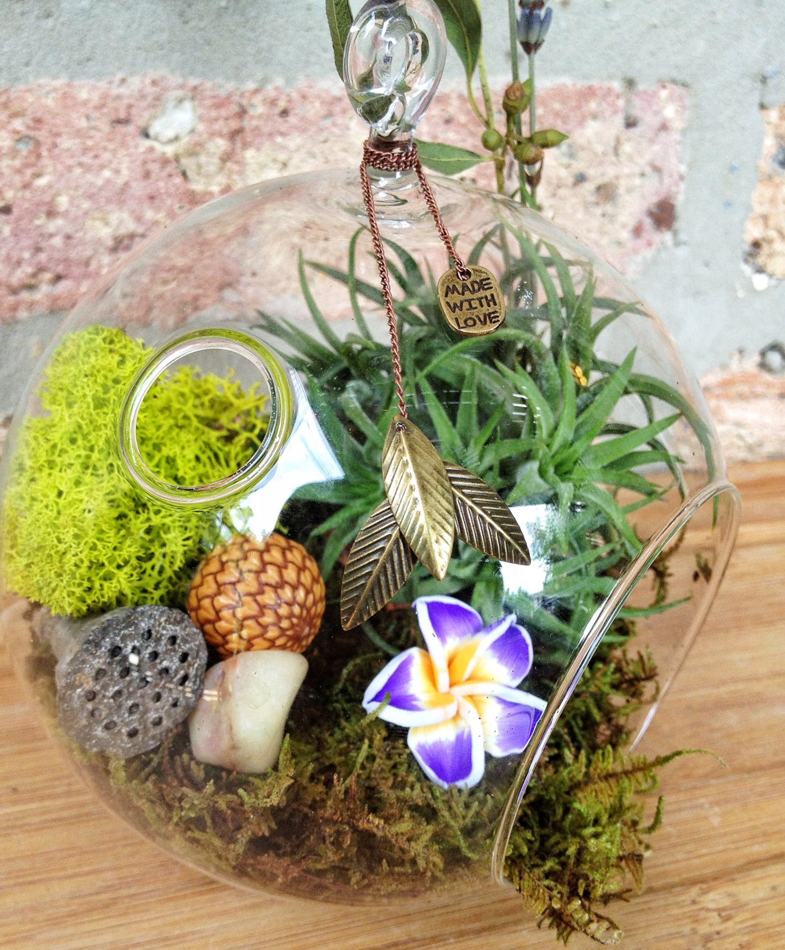 Flower and Air Plant Moss Terrarium With Charm A Unique Etsy