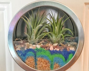 Modern Wall Terrarium Magnetic Wall Garden - A Unique Birthday or Mothers Day Gift