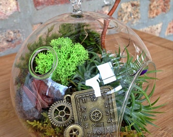 Steampunk Air Plant Terrarium - A Perfect Birthday or Fathers Day Gift