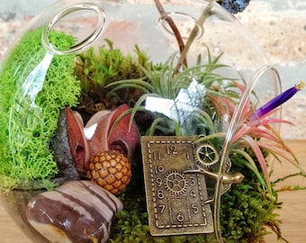 Steampunk Air Plant and Moss Terrarium INCLUDES a charm to dangle - A Unique Birthday or Fathers Day Gift