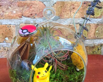 Gotta Catch'm All! Pokemon Air Plant Terrarium - A Unique Birthday or Fathers Day Gift
