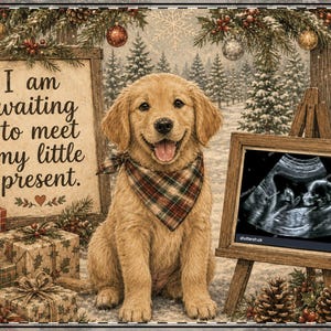 May include: A golden retriever puppy wearing a plaid bandana sits in a winter scene with wrapped gifts and a sign that reads I am waiting to meet my little present. Next to the puppy is a wooden easel displaying a black and white ultrasound image.