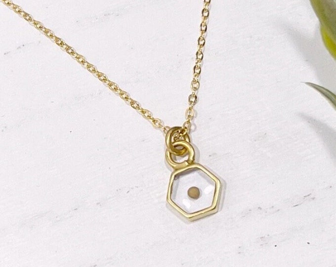 Real Mustard Seed Gold Necklace, Encouragement gift, Mustard Seed Jewelry, Faith Necklace, Christian Jewelry, Inspirational Gift for Her