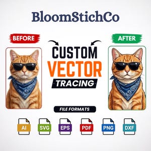 Può includere: Un grafico digitale che mostra un confronto prima e dopo di un gatto rosso con occhiali da sole e una bandana blu. Il testo riporta BloomStichCo, BEFORE, AFTER, CUSTOM VECTOR TRACING e FILE FORMATS, con icone per AI, SVG, EPS, PDF, PNG e DXF.