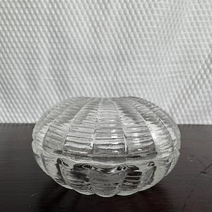 May include: A clear glass trinket box with a rounded, ribbed design. The container features a two-piece construction with a lid that fits over the base, showcasing a textured, shell-like pattern across the entire exterior surface of the glass.