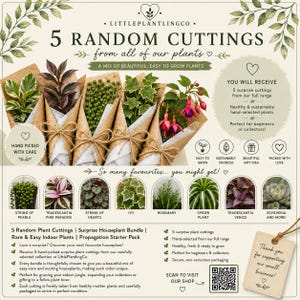 May include: A promotional graphic for 5 random plant cuttings from LittlePlantlingCo. The image displays five plant cuttings wrapped in brown paper with twine, alongside text, a QR code, and a list of potential plant varieties like String of Pearls.