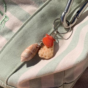 May include: A silver metal carabiner keychain attached to a light green and white striped canvas bag. The keychain features three dangling charms: a smooth tan spiral seashell, a small bright orange fan-shaped shell, and a porous beige coral piece.