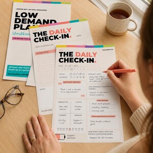 May include: Three white paper planners with colorful headers titled The Daily Check-In and Low Demand Plan Workbook. The pages feature sections for mood, sensory load, meals, and daily priorities, with handwritten notes in black ink on the top sheet.