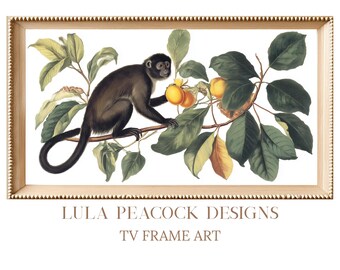 Vintage Monkey Botanical Frame TV Art, Antique Natural History Print, Classic Wall Art, Neutral Coastal Decor, Samsung Frame TV Download