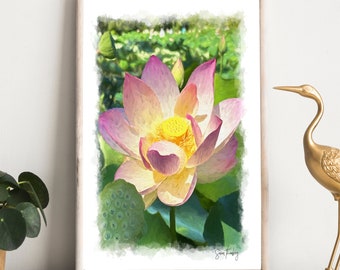 Pink and Yellow Lotus Flower Painting by Artist Susan Thornberg