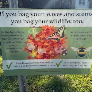 Könnte beinhalten: Ein rechteckiges Schild mit weißem und hellgrünem Hintergrund. Der Text lautet: If you bag your leaves and stems, you bag your wildlife, too. Es zeigt Illustrationen eines Nachtfalters, Schmetterlings, Glühwürmchens, Marienkäfers und einer Hummel auf Herbstblättern.