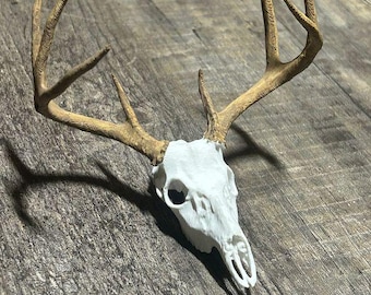 3D Printed Deer Skull Replica, Antler Decor, Wildlife Skull Display