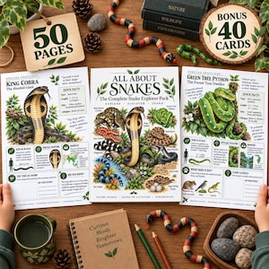 Puede incluir: Un conjunto educativo que incluye un libro titulado All About Snakes, dos hojas informativas sobre cobras reales y pitones arborícolas, un cuaderno, dos serpientes de juguete y un juego de cartas extra, con textos e ilustraciones.
