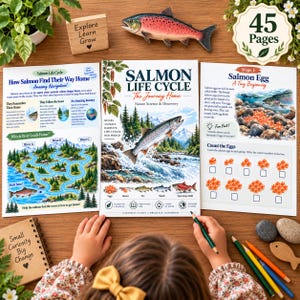 Könnte beinhalten: Ein 45-seitiges pädagogisches Arbeitsheft mit dem Titel Salmon Life Cycle: The Journey Home, das Illustrationen von Lachsen in verschiedenen Lebensstadien, Flusslabyrinthe und Zählübungen für Eier enthält, präsentiert mit Buntstiften und Holzdekor.