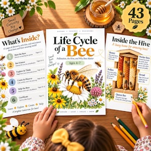 May include: A Life Cycle of a Bee educational book with 43 pages, featuring a central illustration of a bee on a daisy. Two accompanying informational sheets detail bee anatomy, hive structure, and activities, alongside a small crocheted bee toy.