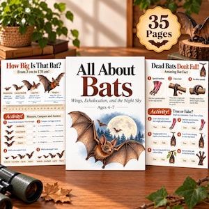 Peut inclure: Un livre éducatif à trois volets intitulé All About Bats, illustré de chauves-souris, d'une pleine lune et de silhouettes de forêt. Les pages contiennent du texte, des schémas et des activités sur les ailes, l'écholocalisation et les tailles de 2 cm à 170 cm.