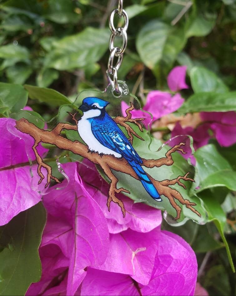Blue Jay Acrylic Charm Keychain Etsy