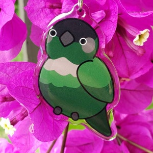 Grüner Cheeked Conure Acryl Charm Schlüsselanhänger