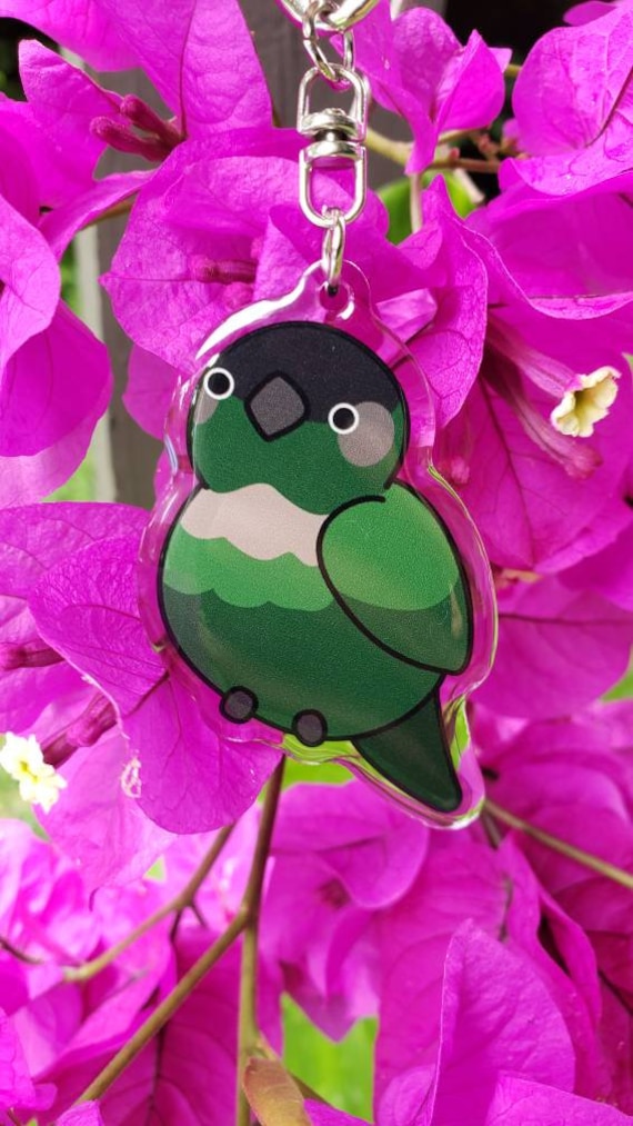 Green Cheeked Conure Acrylic Charm Keychain Etsy