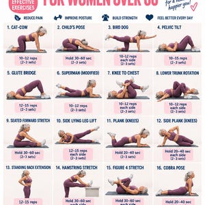 May include: An instructional chart titled Lower Back Workout for Women Over 60 featuring 16 numbered exercise illustrations. Each section displays a person in purple athletic wear performing movements like cat-cow, planks, and stretches with rep counts.