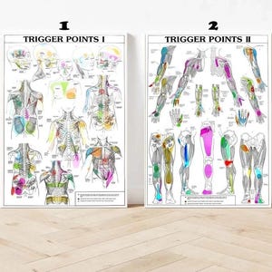 May include: Two educational anatomical posters labeled TRIGGER POINTS I and TRIGGER POINTS II. These charts feature detailed black and white line drawings of the human muscular system with highlighted colored areas indicating specific trigger points.
