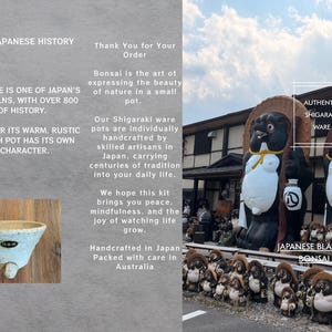 May include: A promotional graphic featuring text about Shigaraki ware, a small beige ceramic pot with a single foot, and a photograph of numerous tanuki statues. The text includes A PIECE OF JAPANESE HISTORY, AUTHENTIC SHIGARAKI WARE, and JAPANESE BLACK PINE BONSAI KIT.
