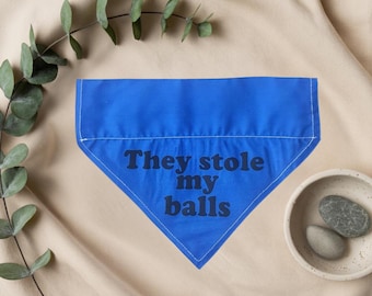 Pañuelo personalizado y divertido para el cuello de tu perro: accesorio hecho a mano