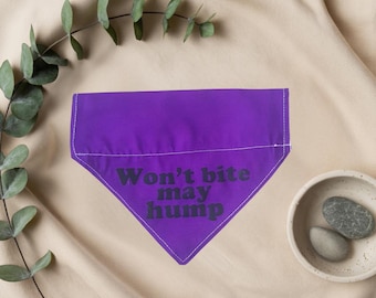 Bandana personalizada para perro: regalo divertido para mascotas, estilo para llevar sobre el collar