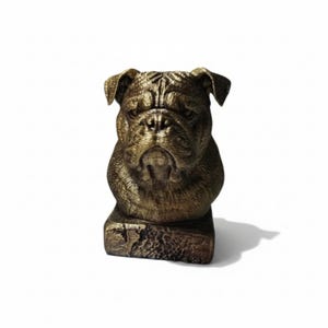 Peut inclure: Sculpture de bouledogue de couleur bronze avec une surface texturée et détaillée. Le visage du chien est expressif, avec un sourcil froncé et un léger froncement de sourcils. La sculpture repose sur une base rectangulaire.