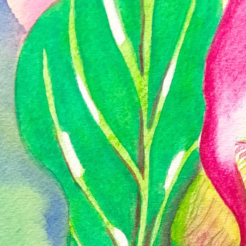 Original Art Watercolor Pencils Painting Pink Flower Calla Lily image 6