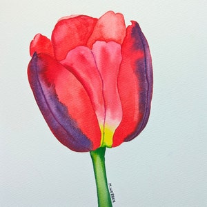 Original Kunst Aquarell Botanische Rote Tulpe Blumenmalerei