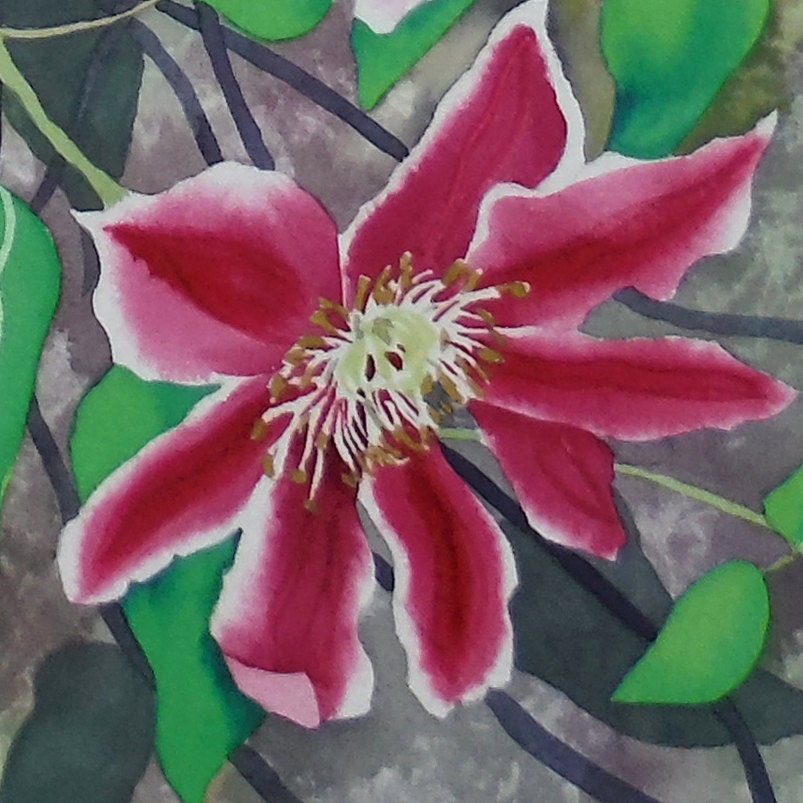 ピンクのクレマチス オリジナル水彩画植物画 - Etsy 日本