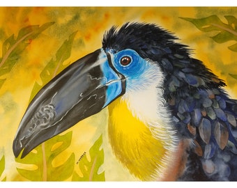 Signed Limited Edition Blue & White Toucan Bird