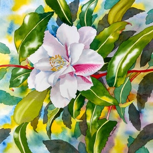 Botanical Watercolour Flower Painting of a Camellia