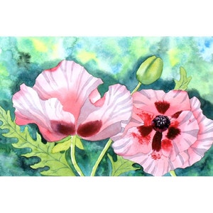 Original Watercolour Flower Painting, Peach Pink Poppies in Botanical Style
