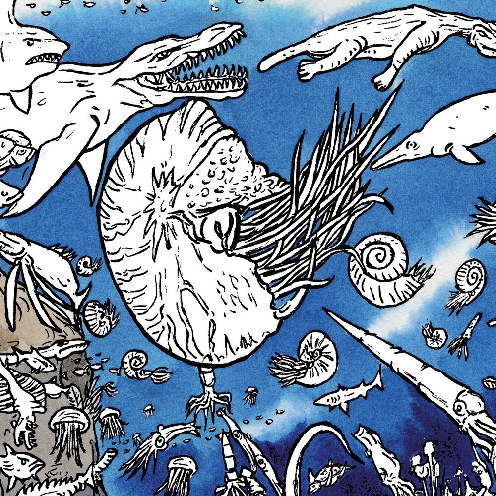 Underwater Dinosaurs Large A2 Colouring Poster for Adults and Etsy
