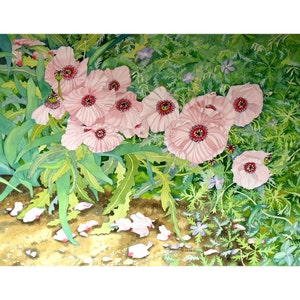 Pale Pink Poppies Original Watercolour Painting with Green and Lilac