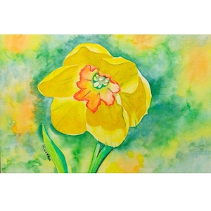 Original Kunst Aquarell Bleistifte Malerei gelbe Narzisse Blume