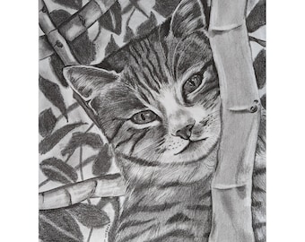 子猫の鉛筆画 額装済み アート オリジナルアート鉛筆画スケッチ、木の中の猫の子猫 - Etsy 日本