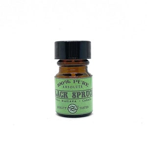 Black Spruce Absolute, Picea mariana, Wild Harvest, Canada