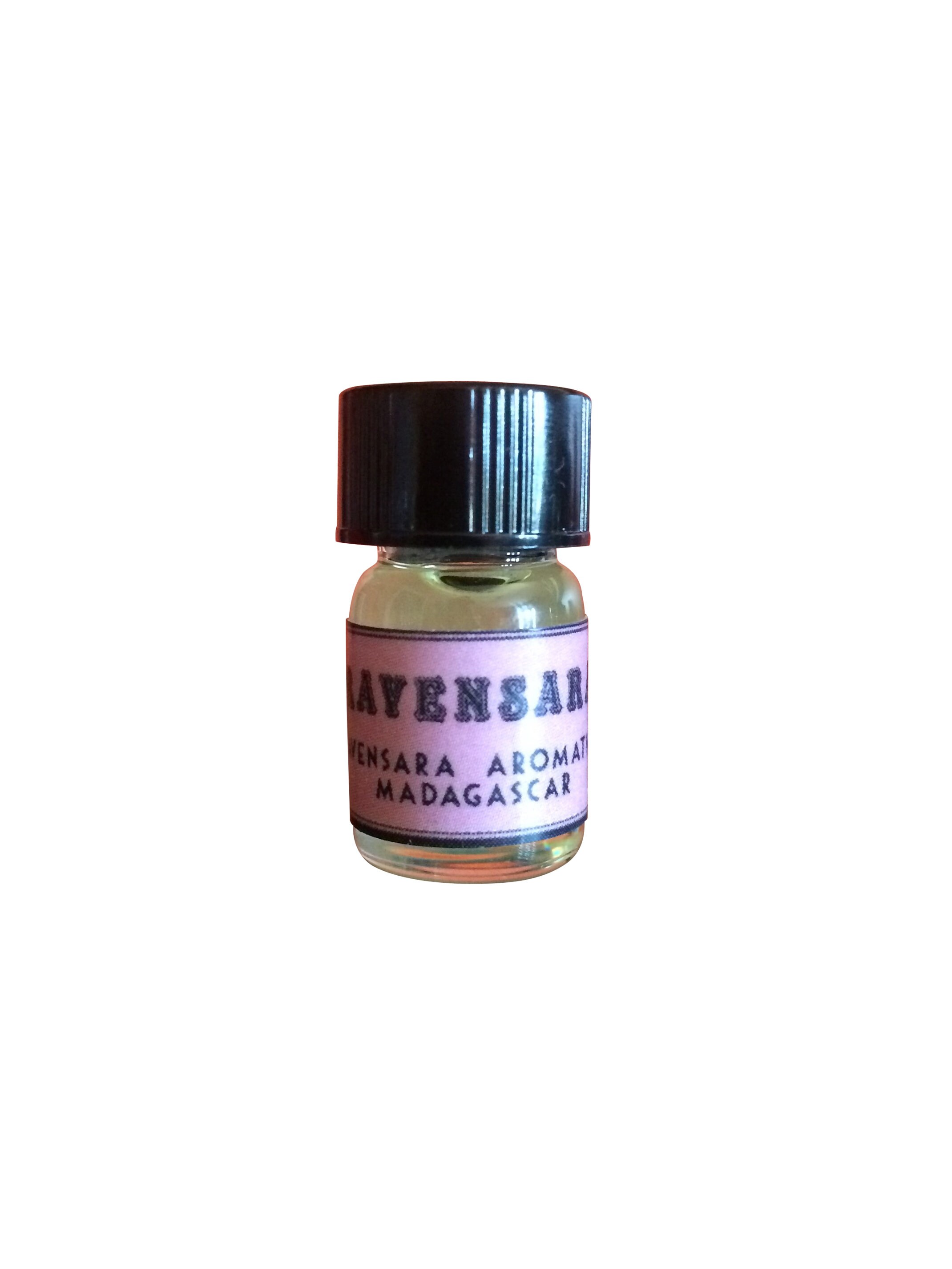 Ravensara Ravensara Essential Oil Ravensara Aromatica Madagascar - Etsy