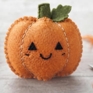May include: A handcrafted orange felt pumpkin plush featuring a stitched face with two black triangular eyes and a curved black mouth. The pumpkin has a green felt stem and leaf on top, with visible light-coloured blanket stitching along the seams.
