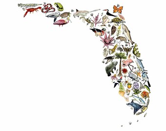 Native Florida